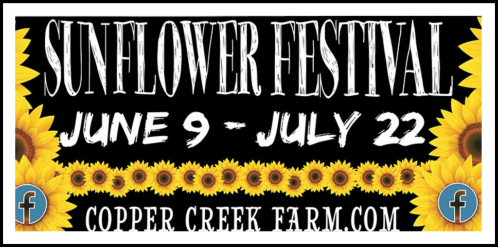 Sunflower Festival Copper Creek Farm Gordon County Calhoun, GA