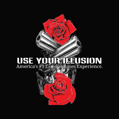 image of use your illusion graphic